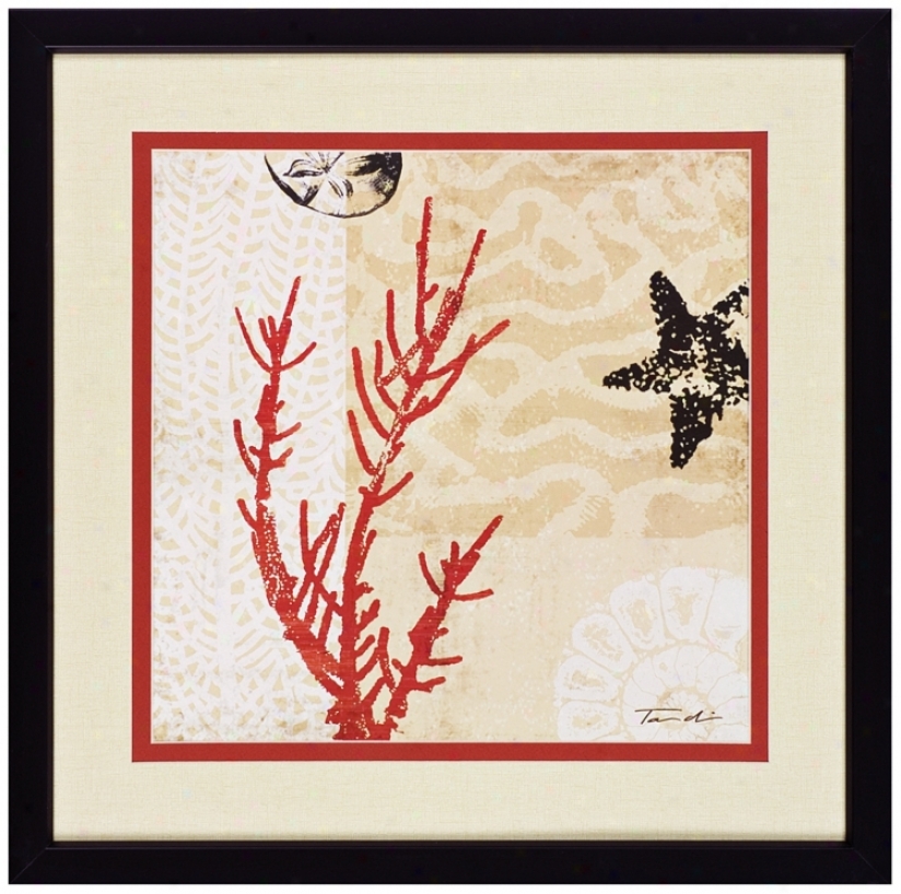 Coral Reef 'sea Star' 22" Square Wall Art (j6066)