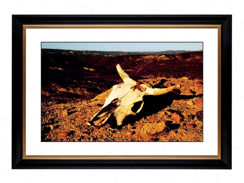 Desert Skull Giclee 42 3/8" Wide Wall Art (56044-80384)