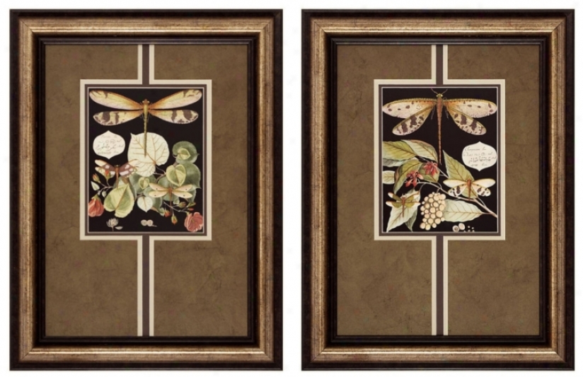 Dragonfly I And Ii 24" High Framed Wall Art (p2287)