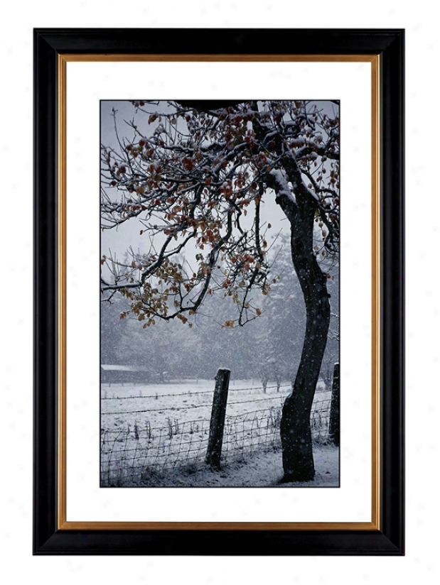 Foggy Day Giclee 41 3/8" High Wall Art (64323-80384)