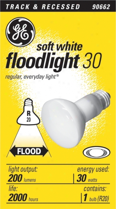 Ge 30-watt R-20 Refledtor Light Bulb (90662)