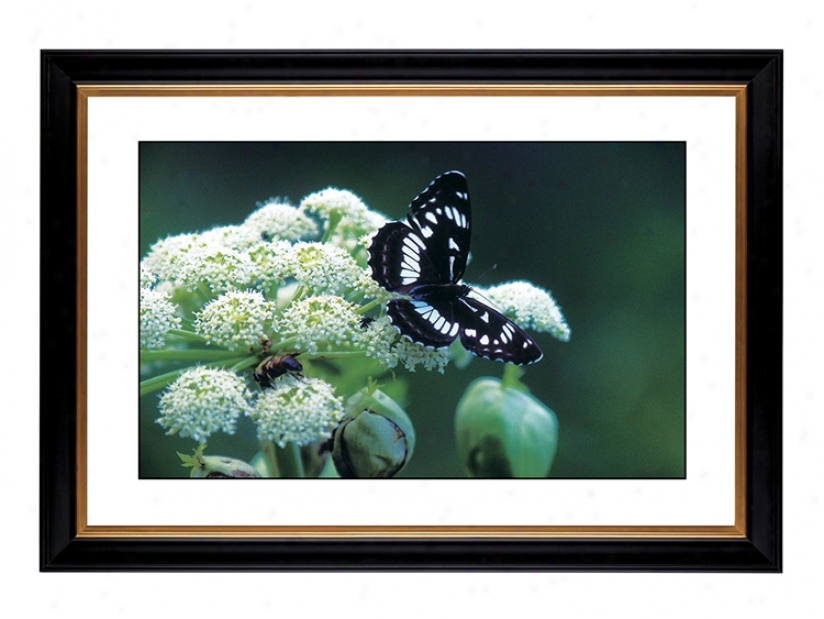 Giclee 41 3/8" Spacious Butterfly Flower Wall Art (54088-80384)