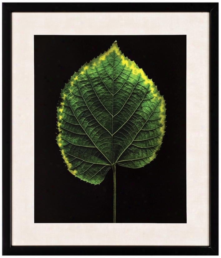 Green Leaf 29" High Wall Art (j5972)