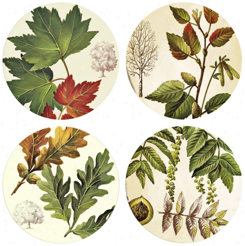 Hindostone Set Of Four Autumn Leaves Stone Coasters (m0794)