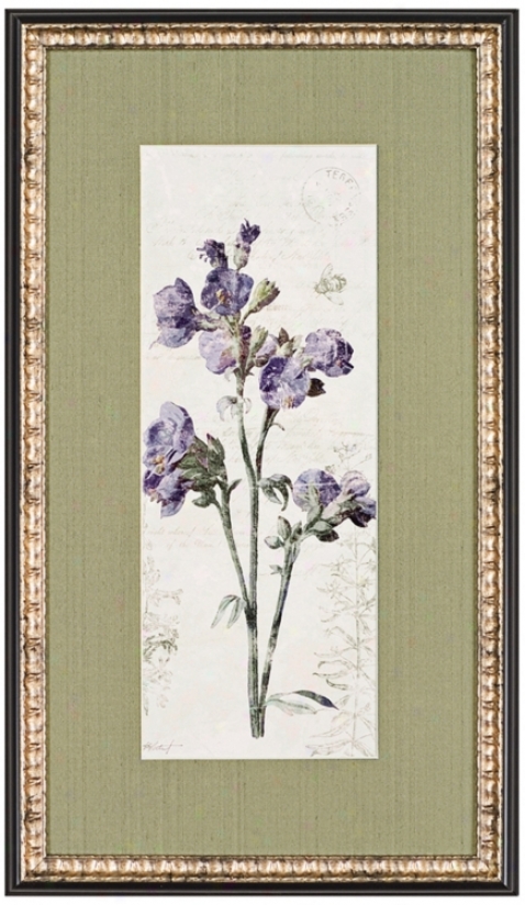 Jacobs Ladder Flower 28" Boastful Wall Art Print (j5869)