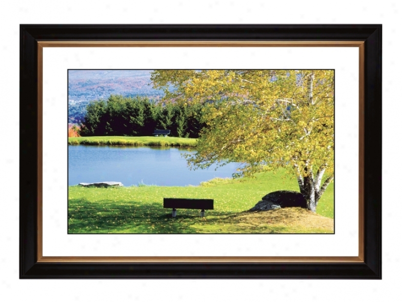 Lakeside Bench Giclee 41 3/8" Wide Wall Art (57210-80384)