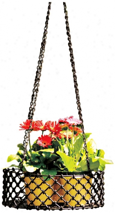 Lattice Herb Hanging Basket With Chain (v9472)