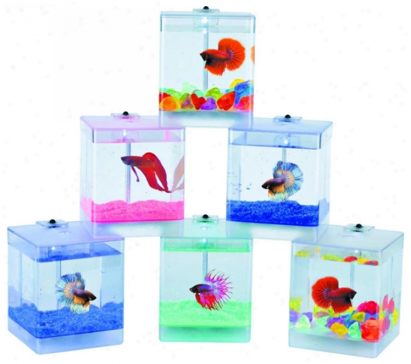 Led Aqua Box Fish Bowl (u7853)