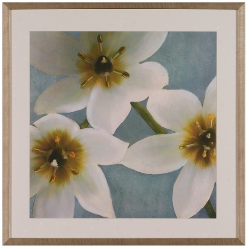 Lily Parfait 34" Square Framed Wall Art (t0196)