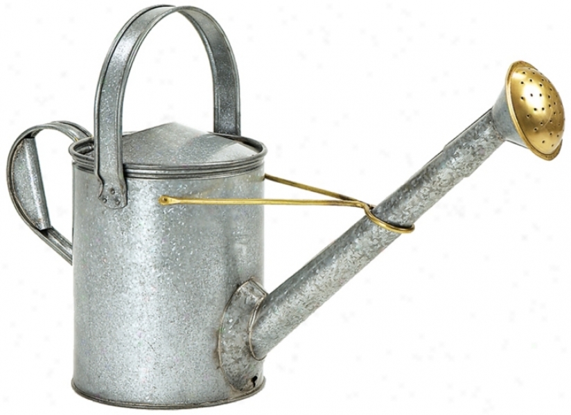 Long-necked Galvanized Steel Watering Can (u9881)