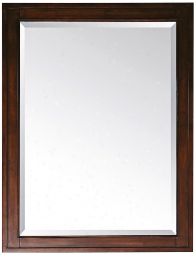 Madison Light Espresso 28" Wide Rectangular Wall Mirror (r8972)