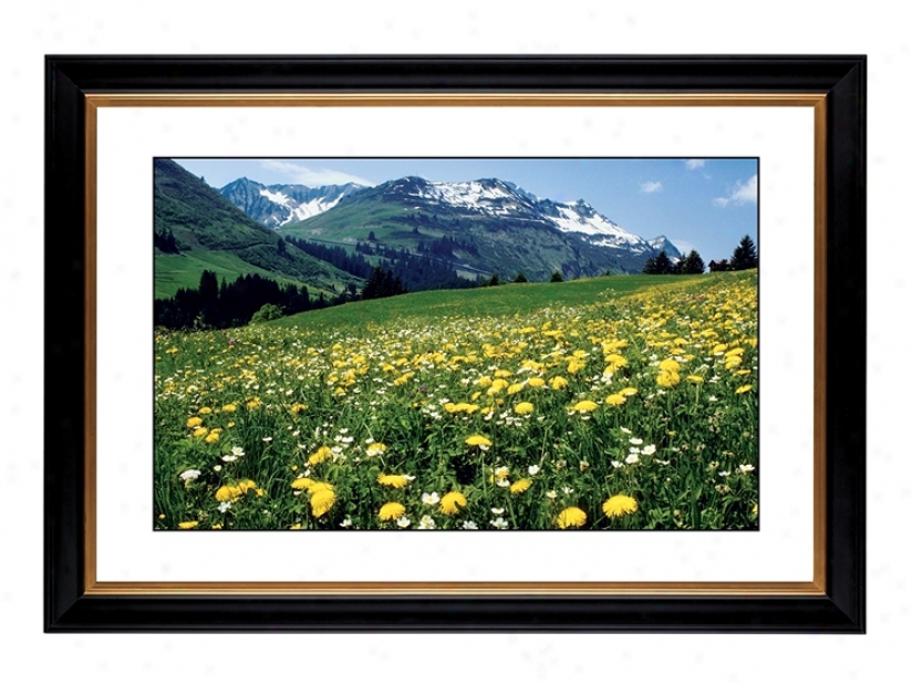 Mountain Flower Meadow Giclee 41 3/8" Wide Wall Art (56266-80384)