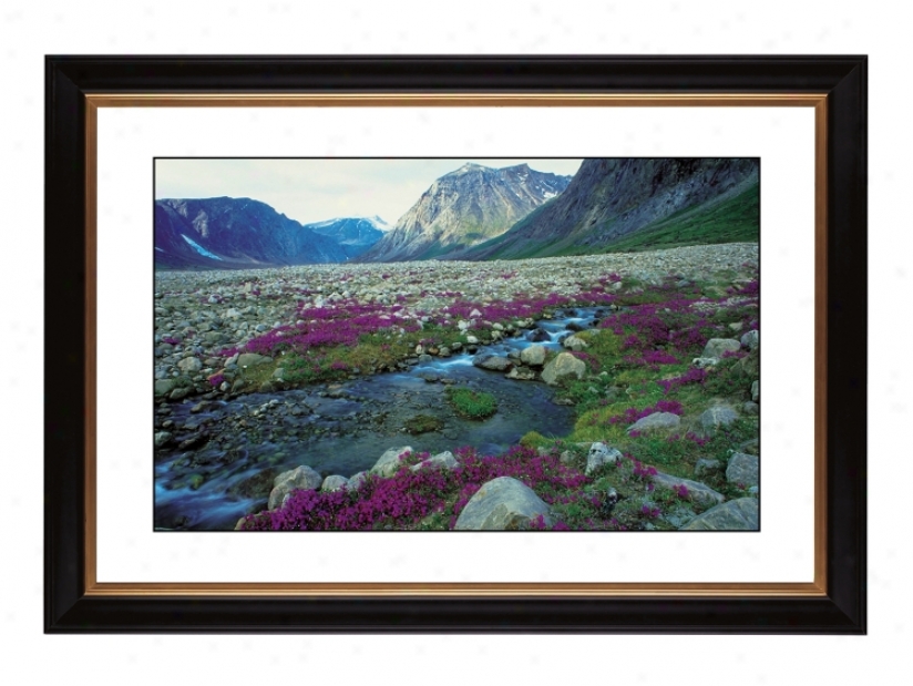 Mountain Running Spring Giclee 41 3/8" Wide Wall Art (57380-80384)