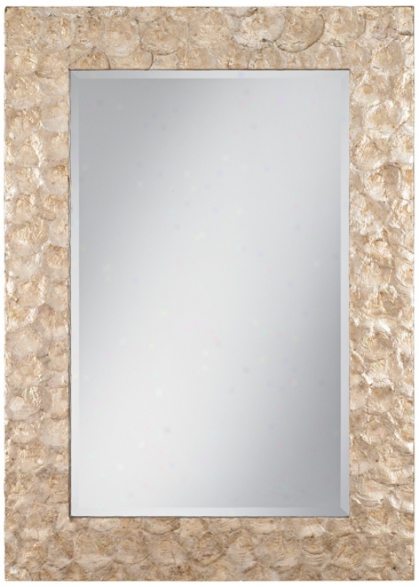 Natural Capiz Shell 40" High Wall Mirro5 (r1658)