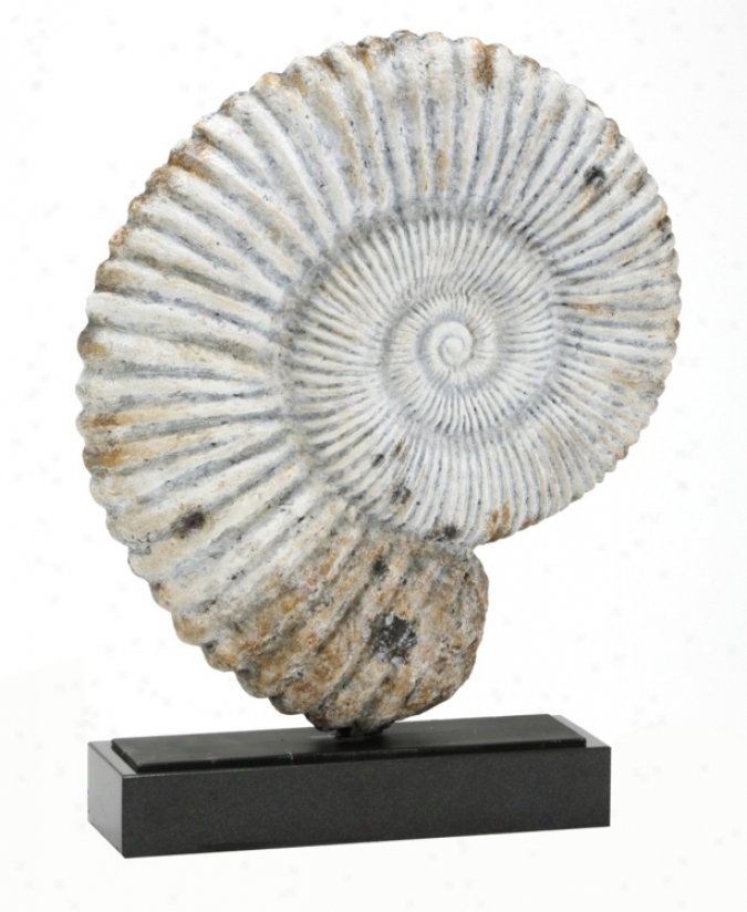 Nautilus Fossil Shell Sculpture (91214)