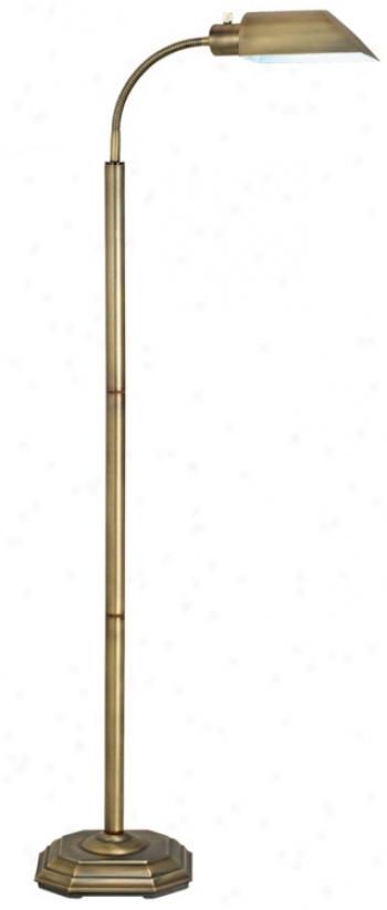 Ott-lite Alexander Brass Energy Saving Gooseneck Floor Lamp (97708)