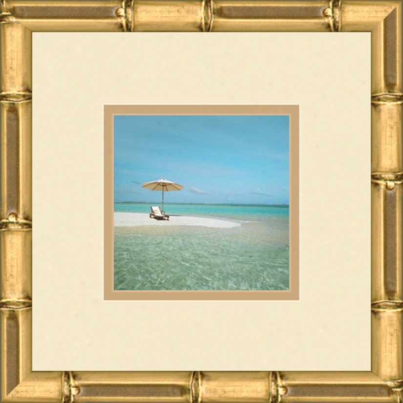 Paradise Cove D 13" Regulate Wall Art (05318)