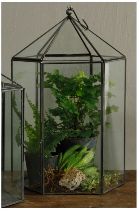 Pierre Large 14" Richly Hexagon Terrarium (u7363)