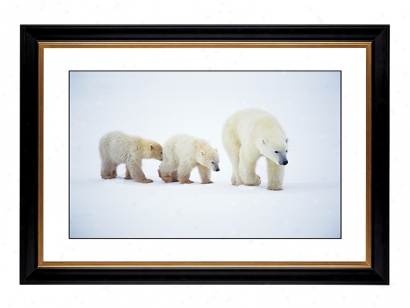 Polar Bear And Cubs Giclee 41 3/8" Wide Wall Art (55734-80384)