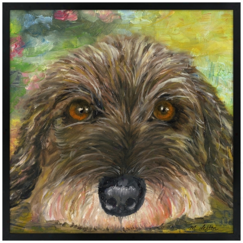 Puppy Eyes 26" Square Black Giclee Wall Art (k4126-m5441)