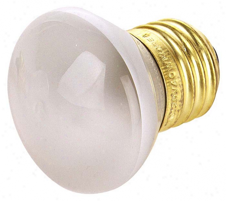 R14 40 Watt Standard Base Light Bulb (05186)