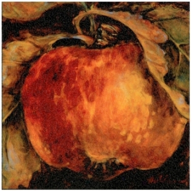 Red Apple Wrapped Canvas Print 11 1/2" Wide Wall Art (j4128)