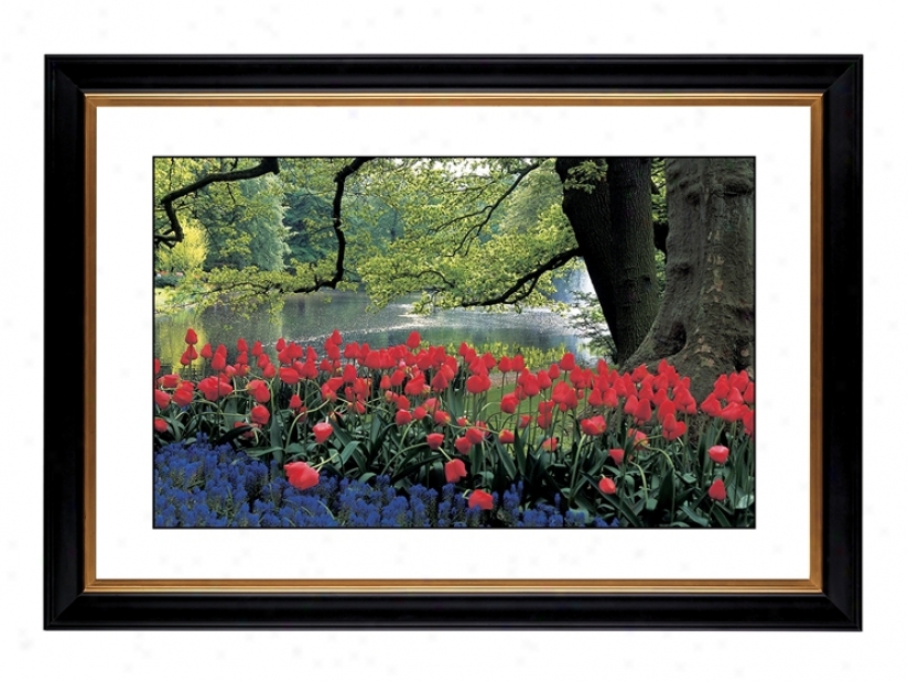 Red Spring Giclee 41 3/8" Wide Wal lArt (54202-80384)