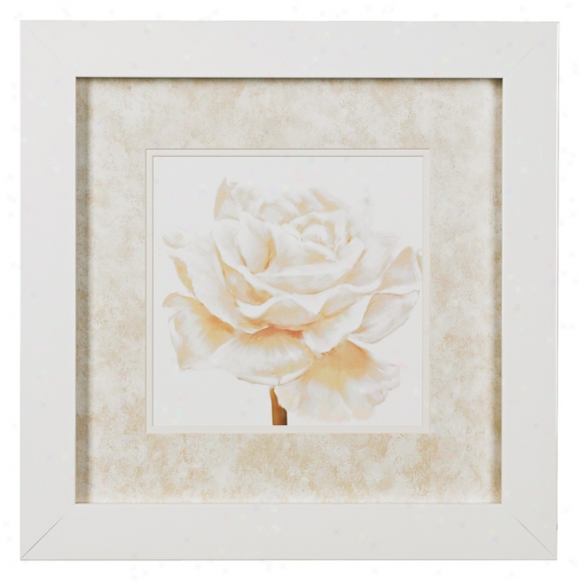 Rose Close Ups A Framed Print 16" Square Wall Art (k4911)