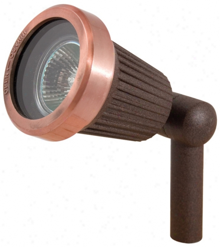 Rust Copper Finish 20 Watt Outdoor Spot Light (r1073)