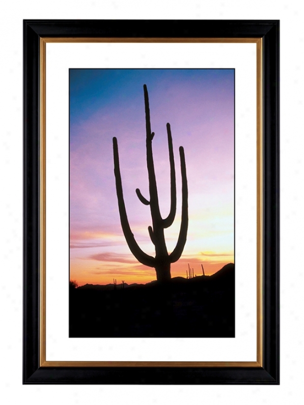 Saguaro Cactus At Sunrise Giclee 41 3/8" Wide Wall Art (55925-80384)