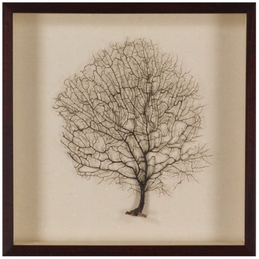 Sea Fan 23" Square Framed Wall Art (t0252)