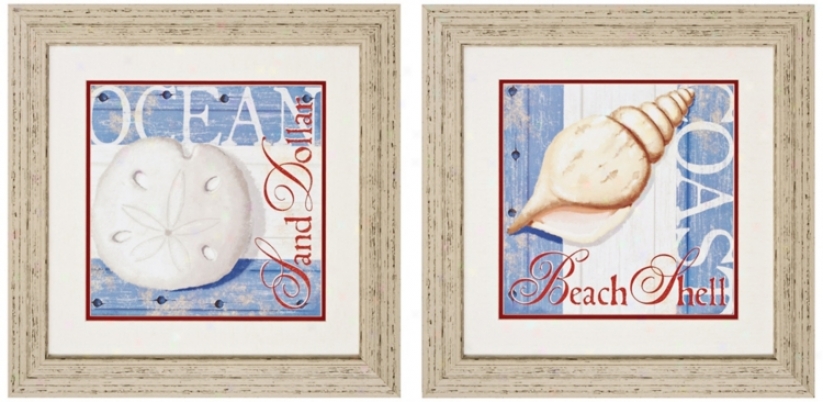 Set Of 2 Beach Shell And Sand Dillar 20" Square Wall Art (v7309)