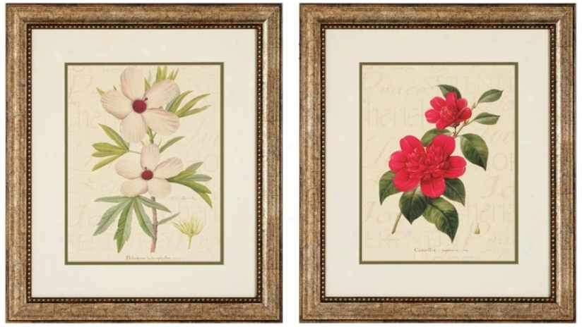Set Of 2 Camelila And Hibiscus Framed Floral Wall Art (v6191)