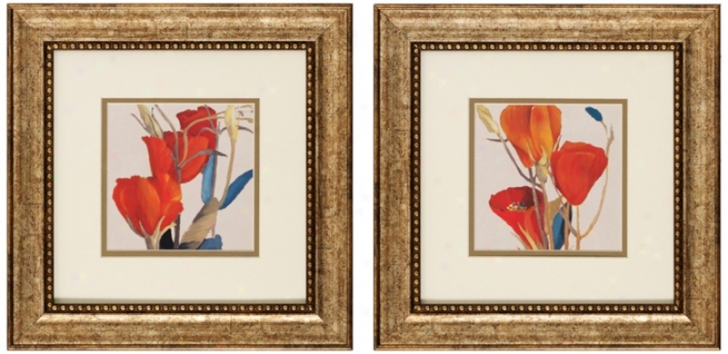 Set Of 2 Grandiflorum I/ii 13" Square Flower Wall Art Prints (v6165)