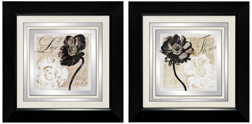 Set Of 2 Lux And Flores 26" Square Wall Art Prints (v7306)