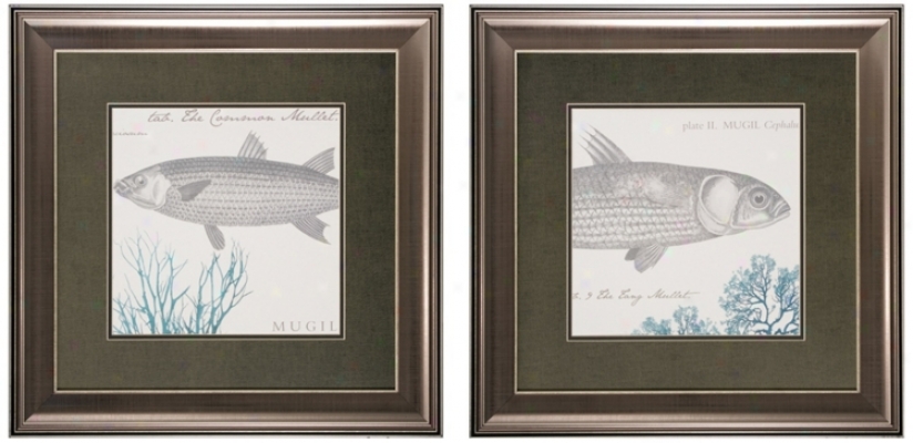 Set Of 2 Sea And hSore V/vi Framed Fish Wall Skill P5ints (v6593)