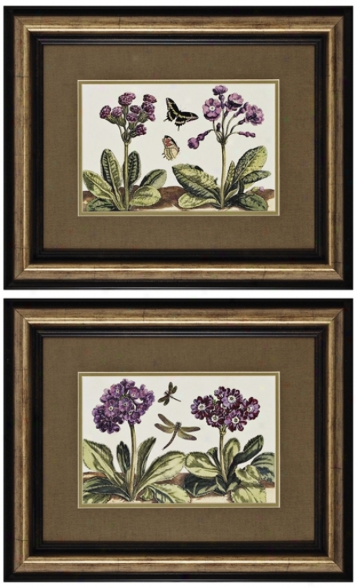 Set Of 2 Small Garden I And Ii Framed Prints Wall Art (k2682)