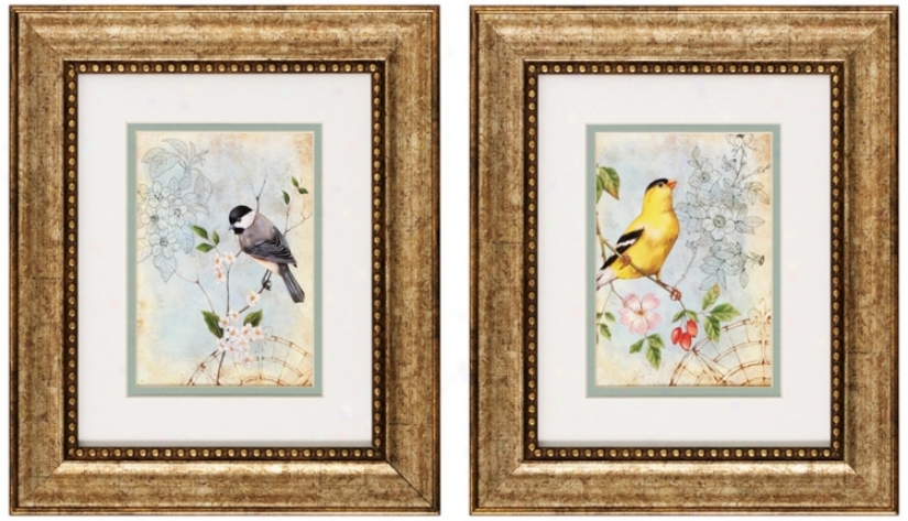 Set Of 2 Songbird Ii/iii 13" High Bird Wall Art Prints (v6152)