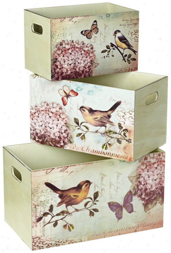 Set Of 3 Bird Design Decorative Storage Boxes (u2837)