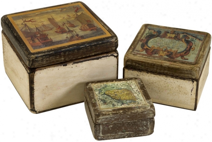 Set Of 3 Expeditiin Wood Storage Boxes (t9829)