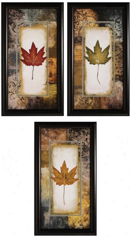 Set Of 3 Leaf 27" High Framed Wall Art Prints (v6871)