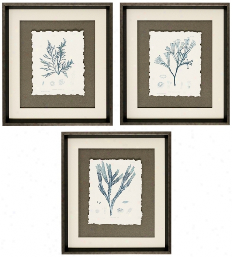 Set Of 3 Nature I/iii/iv 20" High Floral Wall Art (v6848)