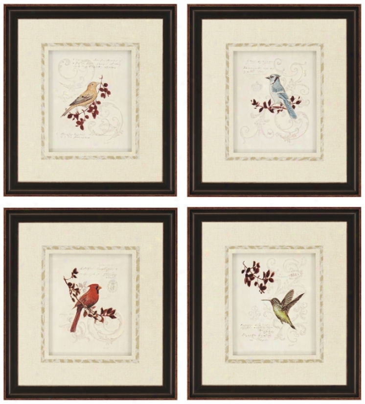 Set Of 4 Birds Prints Wall Art (n7943)