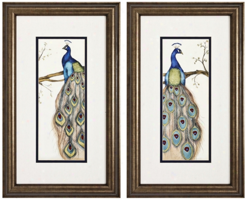 Set Of Two Peacock I & Ii Framed Wall Art (k1954)