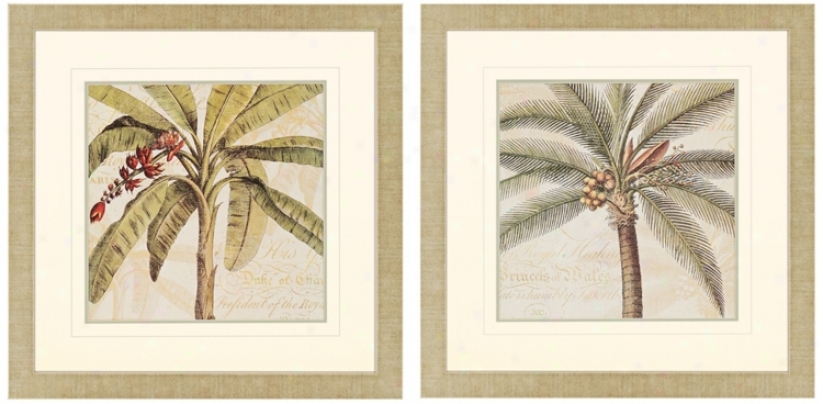 Set Of Two Royal Palms Framed Wall Art (n7971)