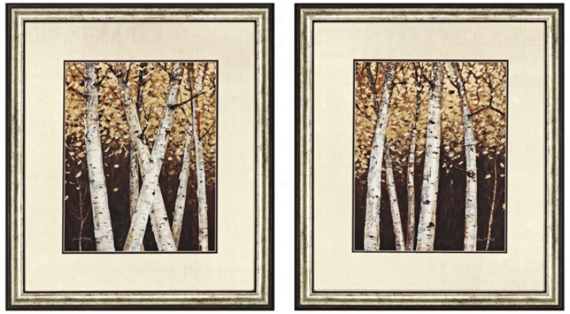Set Of Two Shimmering Bircjes Framed Wall Art (n8010)