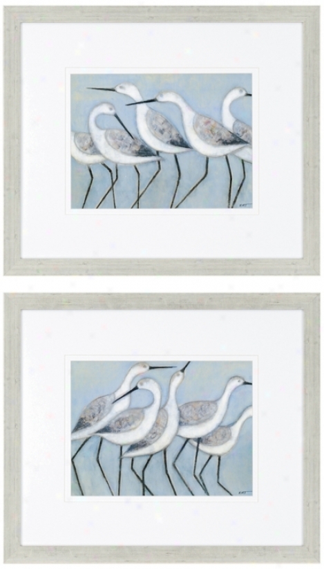 Set Of Two Shore Birds Framed Wall Art (n803)
