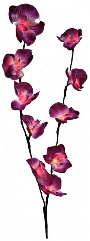 Silk Orchid Flowers 36" High Led Light Accent (u7875)