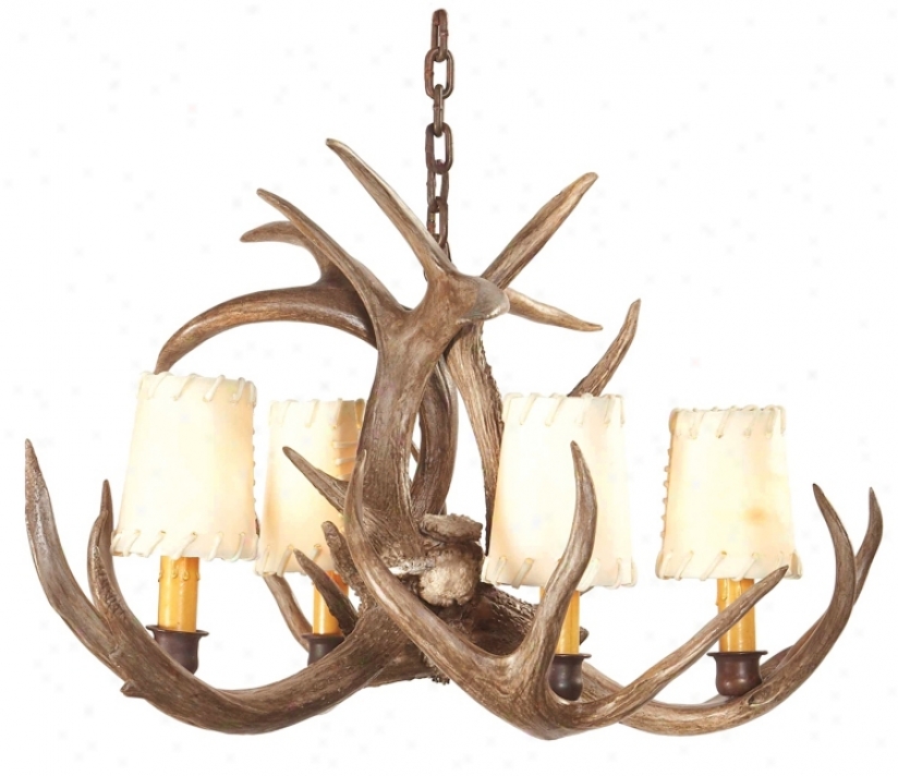 Small Coues Deer Antler Chandeli3r (m1634)