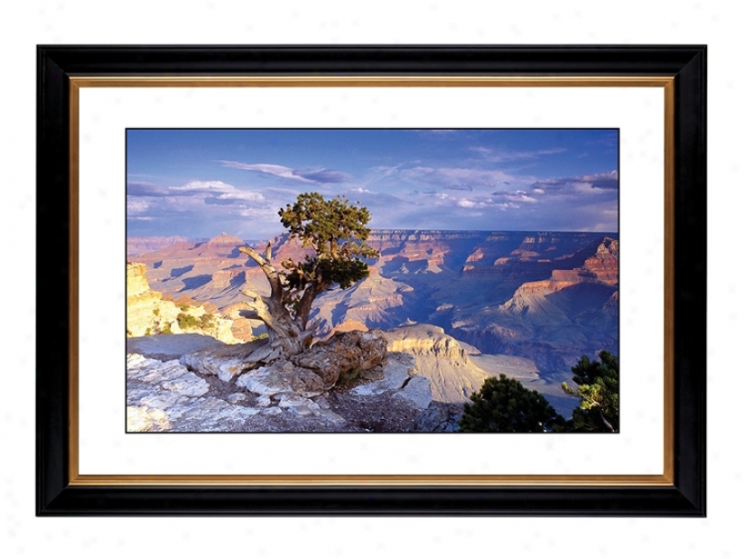 Southwest Canyon Giclee 41 3/8" Wide Wall Art (47303-80384)